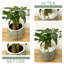 Natural Stone Landscape & Nature Garden Stone