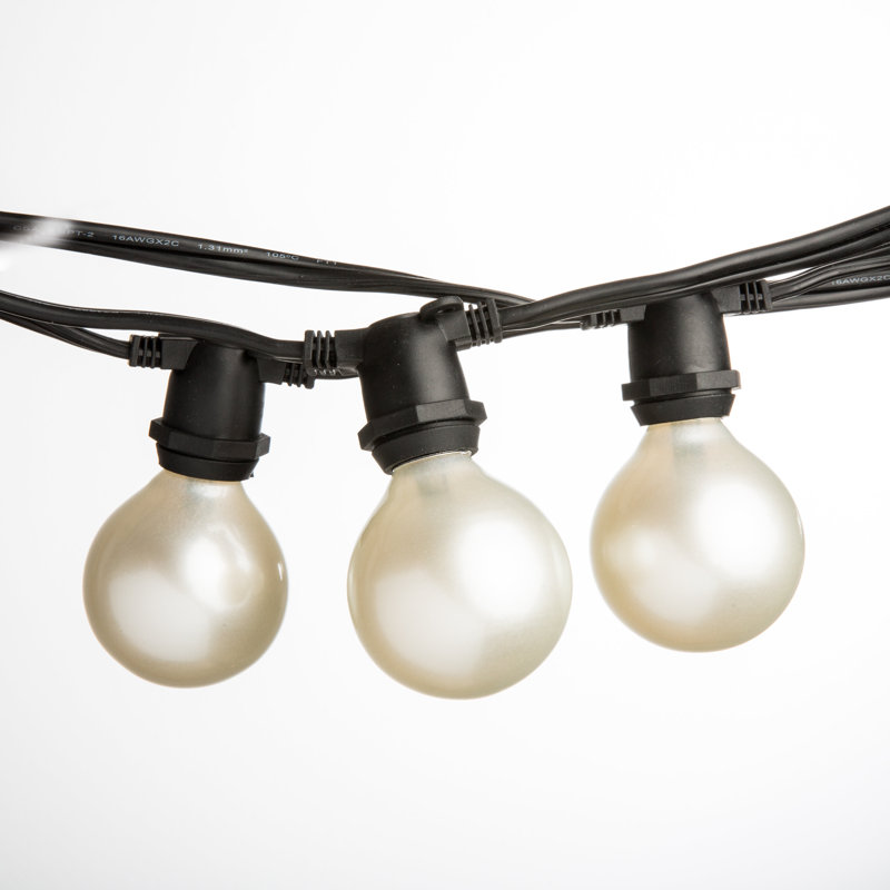 Outdoor 20 - Bulb 25'' Plug-in Globe String Light, Black