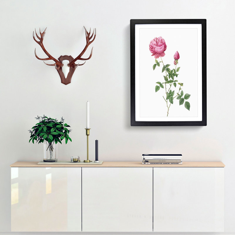 Autumn China Rose in Pink by Pierre-Joseph Redoute - Framed Print, 33cm H x 24cm W x 2cm D, Black Framed