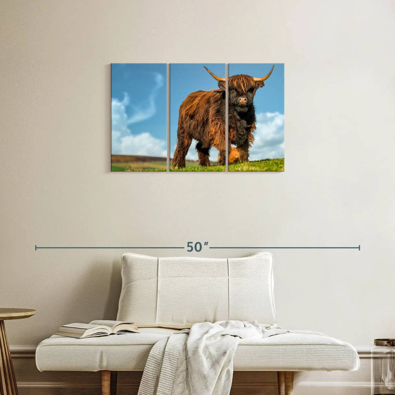 Brampt Dark Haired Highland Cow, 20" H x 33" W