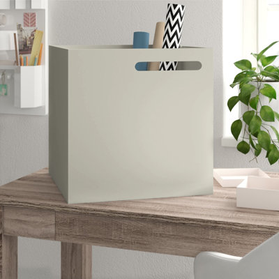 Wade Logan Siggi Storage Tub & Tote