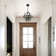 Isavela 4 - Light Dimmable Globe Chandelier