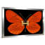 «Hermes Butterfly (Horizontal)» par Jodi - impression-189956657-189956670