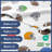 Kids Sheet Set, Soft Microfiber Bedding, Cozy & Breathable, Wrinkle Free Easy Care Bed Sheets-106537197-106537191