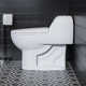 Château One-Piece Elongated Dual-Flush Toilet 1.1/1.6 gpf