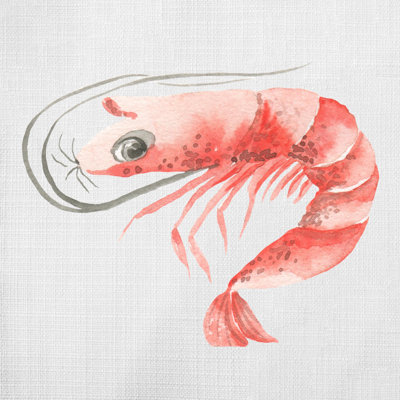Calah Reversible Throw Pillow