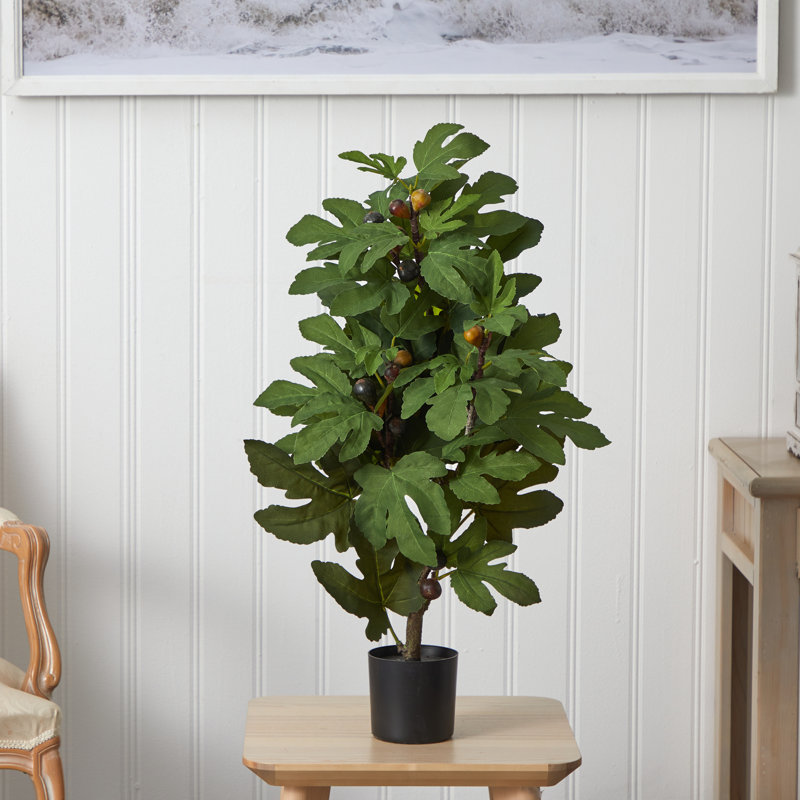 32'' Green Silk Faux Fig Tree in Black Pot