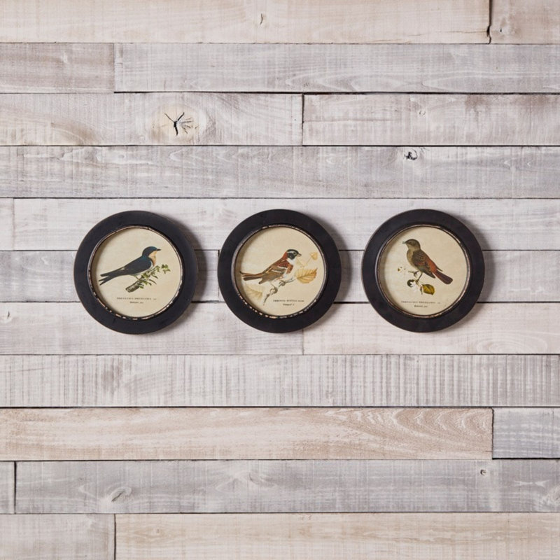 Wood Framed Encyclopedia Bird Print