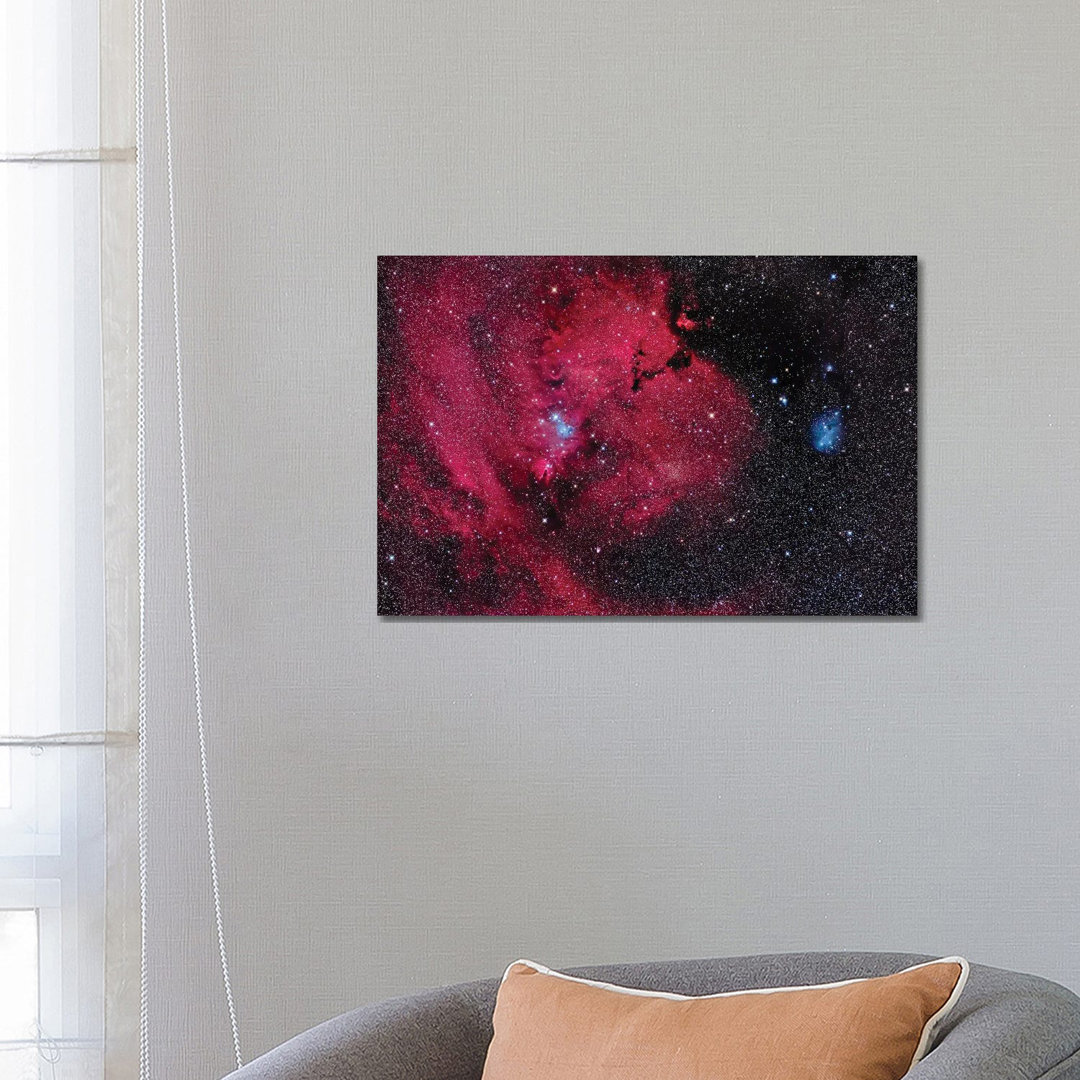 The Cone Nebula And Christmas Tree Cluster In Monoceros. von Alan Dyer - Galerie-umwickelte Leinwand Giclée auf Leinwand