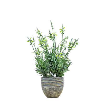 Polyethylene (PE) Lavender Arrangement in Pot