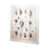 Ocean Shell Coll II