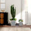 Handmade Mirrored Glass Planter Box-1788565467