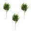 Norfolk Spruce Juniper Spray
