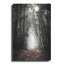«Path In The Woods» par Susan Ball, art mural en métal-73101656