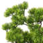 60cm Faux Pine Plant in Pot