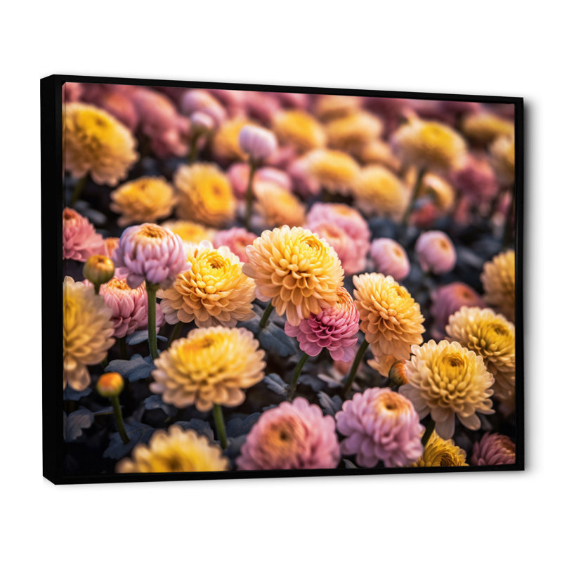 «Yellow Yellow Pink Chrysanthemums Field» sur impression sur toile, H 12 po x l 20 po x P 1 po, Cadre flottant noir