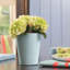 Deltini Pot Planter-16493043-16493047