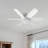 Fans Lights With Remote, 6 Speed 3 Color Fan Lights In Summer With Extender
