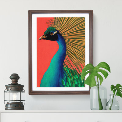 Attractive Peacock - Single Picture Frame Painting