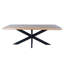 Discover Modern Elegance - Rectangle Dining Table with Mango Wood Top and Sturdy Spider Legs-741594274