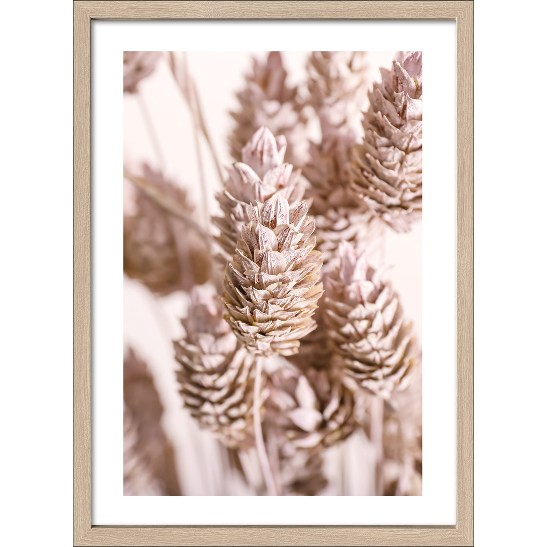 Gerahmter Kunstdruck Dried Flowers