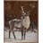 Reindeer Brown Looking Left-242557645