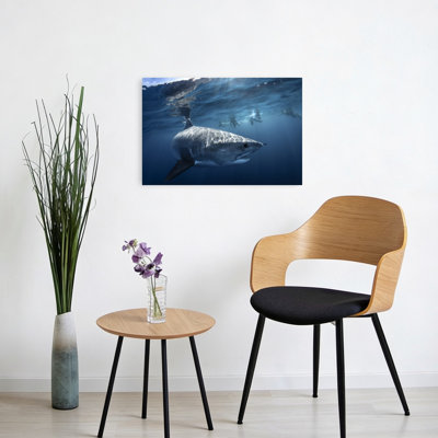 Grand requin blanc ensoleillé, abstrait, requin contemporain, océan, impression sur toile