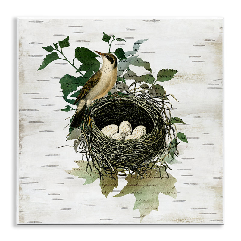 Plaque murale rétro Vintage Nest Bird & Flora, design par Susan Arnot