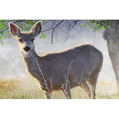 Spring Doe by Chris Vest - Wrapped Canvas Print