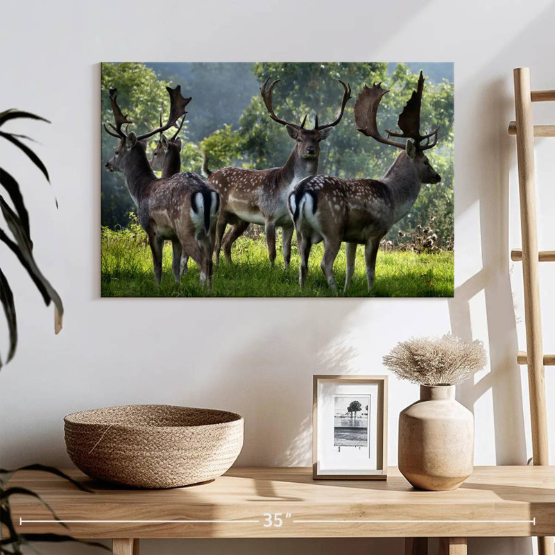 Brampt Deer Alliance, 16" H x 24" W