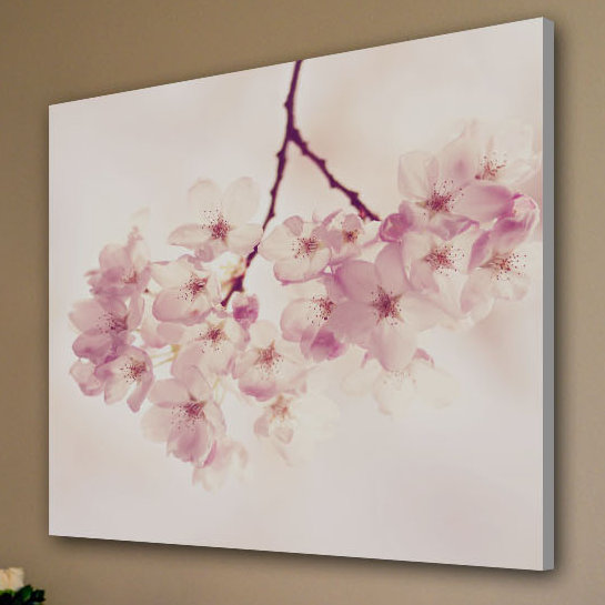 Wrapped Canvas Print, 45cm H x 45cm W x 3.8cm D