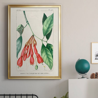 " Turpin Tropical Botanicals I "