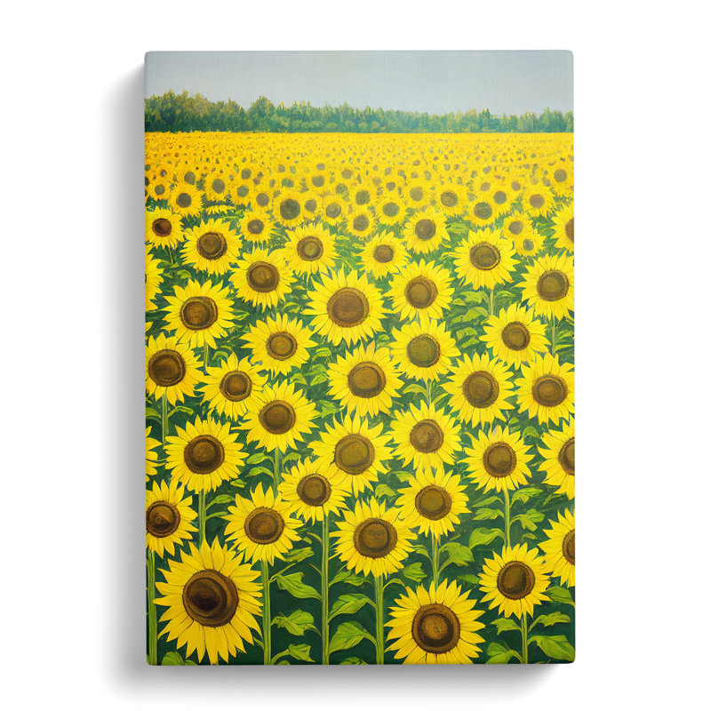 Kaibab Sunflower Field Vol.3 - Wrapped Canvas Print, 50cm H x 35cm W x 3cm D