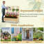 Nolic Wood Planter Box-528277958
