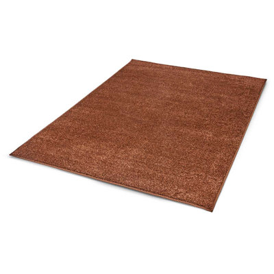 Oeder Solid Colour Area Rug