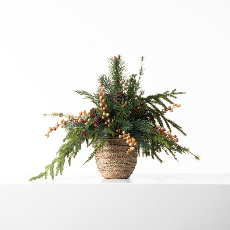 Arrangements floraux en pot