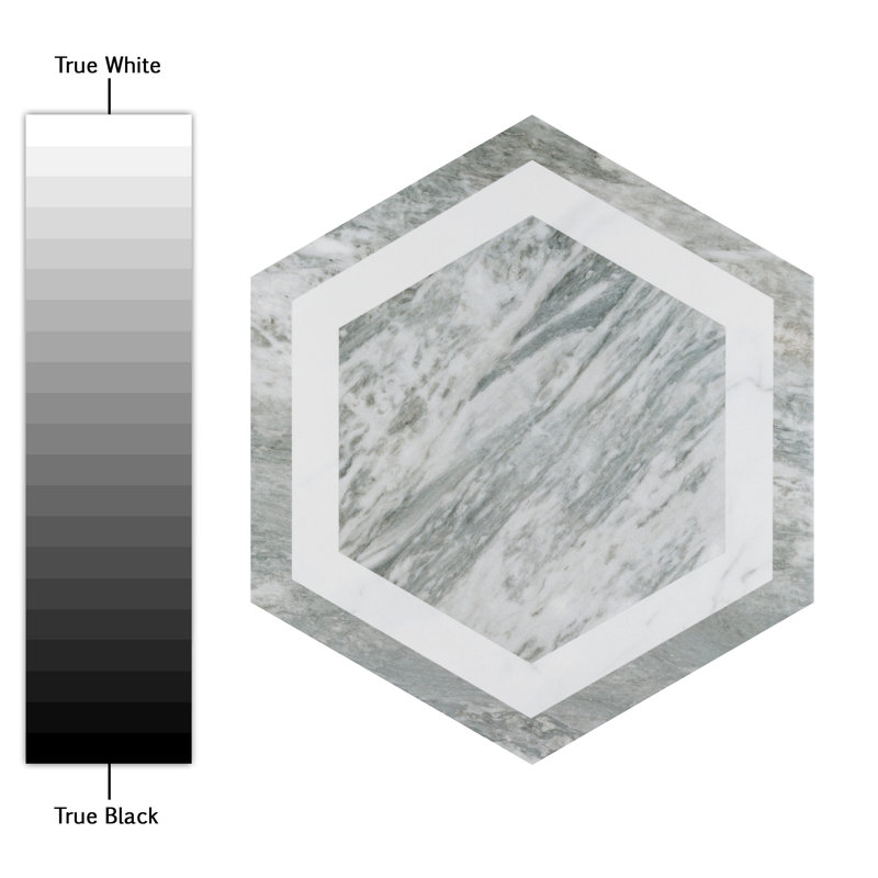BioTech 11" x 13" Porcelain Wall & Floor Tile, Gray/White