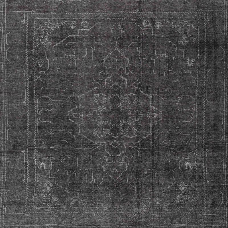 Farheen Performance Oriental Indoor Rug, Square 3'