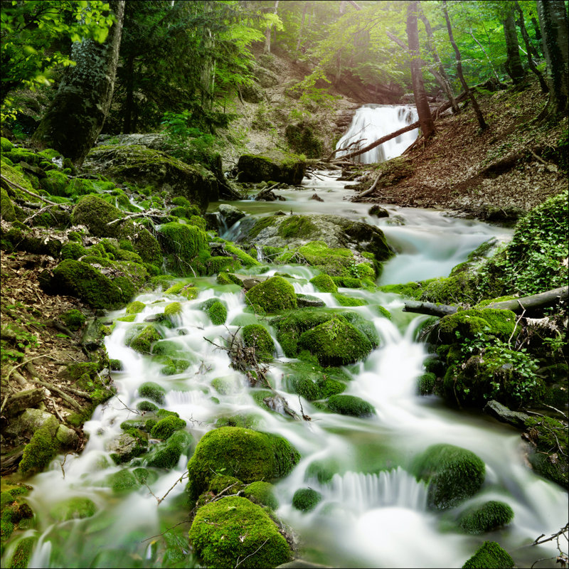 Mystic Ways - No Frame Print on Glass, 80 cm H x 80 cm W x 1.5cm D