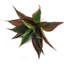 Faux plantes arbustes d'extérieur artificiels