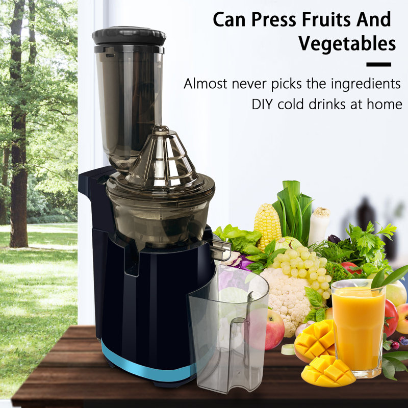  Extracteur de jus pressé à froid efficace pour extracteur de légumes entiers à basse vitesse