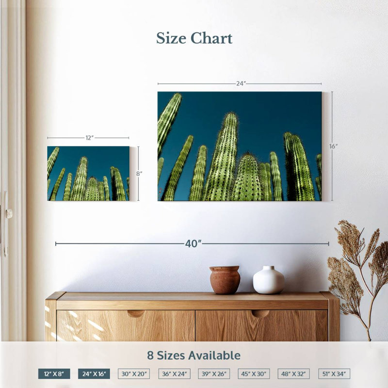 Cactus bleu ciel Harnek, H 16 po x l 24 po