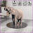 24" Round Tempered Glass Coffee Table Top - 0.4" Thick Beveled Edge, Easy-Clean &amp; Durable-1766927456-1766927463