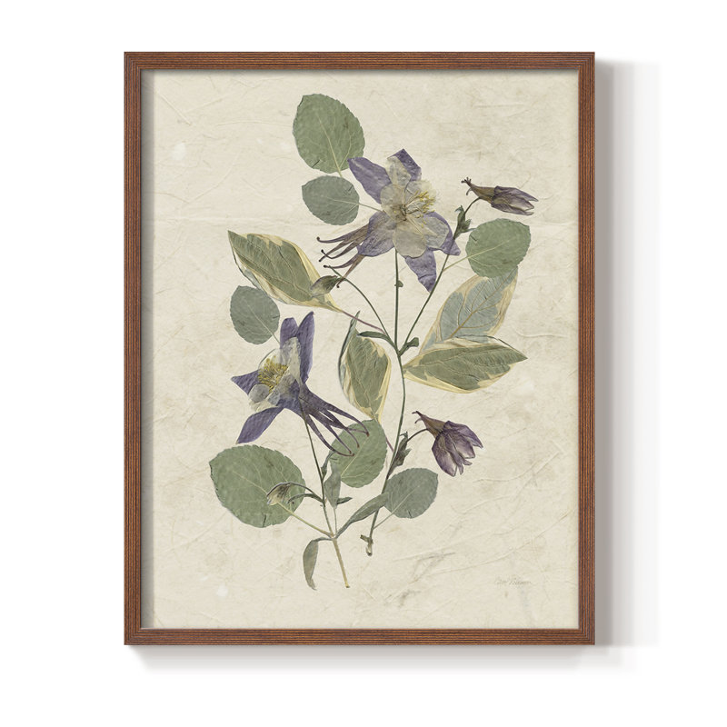 Pressed Arrangement IV, reproduction encadrée - bois massif, H 30 po x l 24 po, Noyer