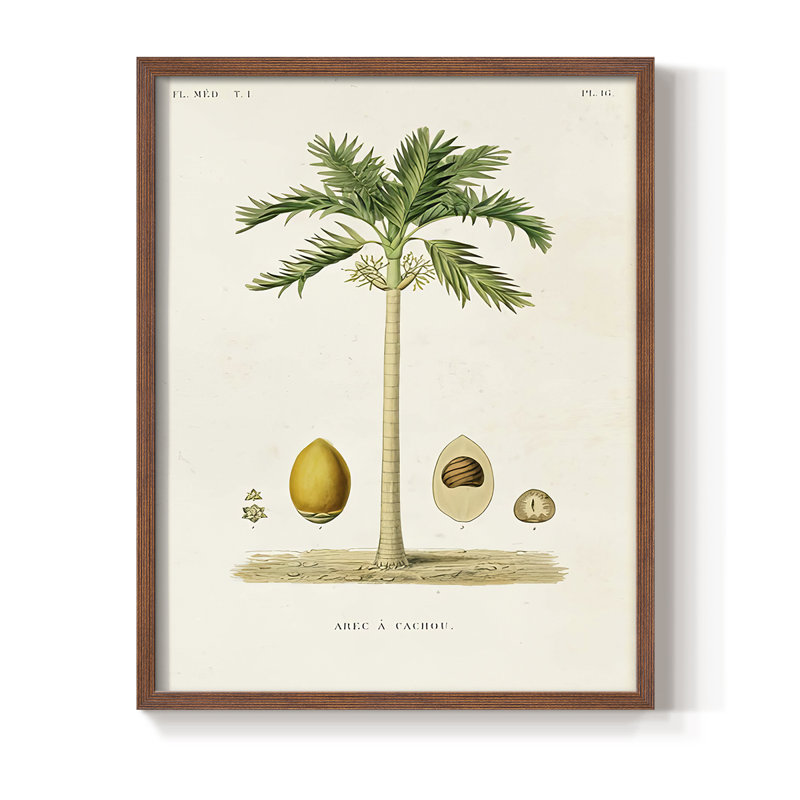 Arbre antique avec fruit II, reproduction encadrée - bois massif, H 30 po x l 24 po, Noyer