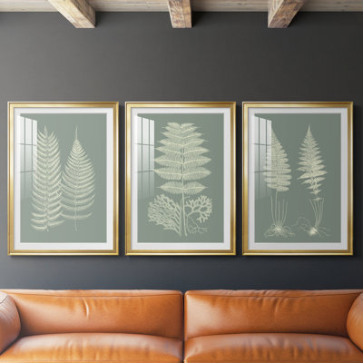 Fougères sur sauge - impression encadrée de qualité supérieure sur mesure matte - 3 pièces