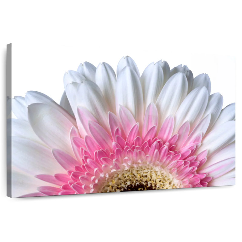 Pétales de fleurs roses Harnek, H 24 po x l 36 po