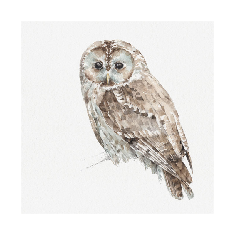 Forest Friends IX (Owl) by Lisa Audit a Hand Embelished Textured Canvas, 41" H x 41" W x 3" D