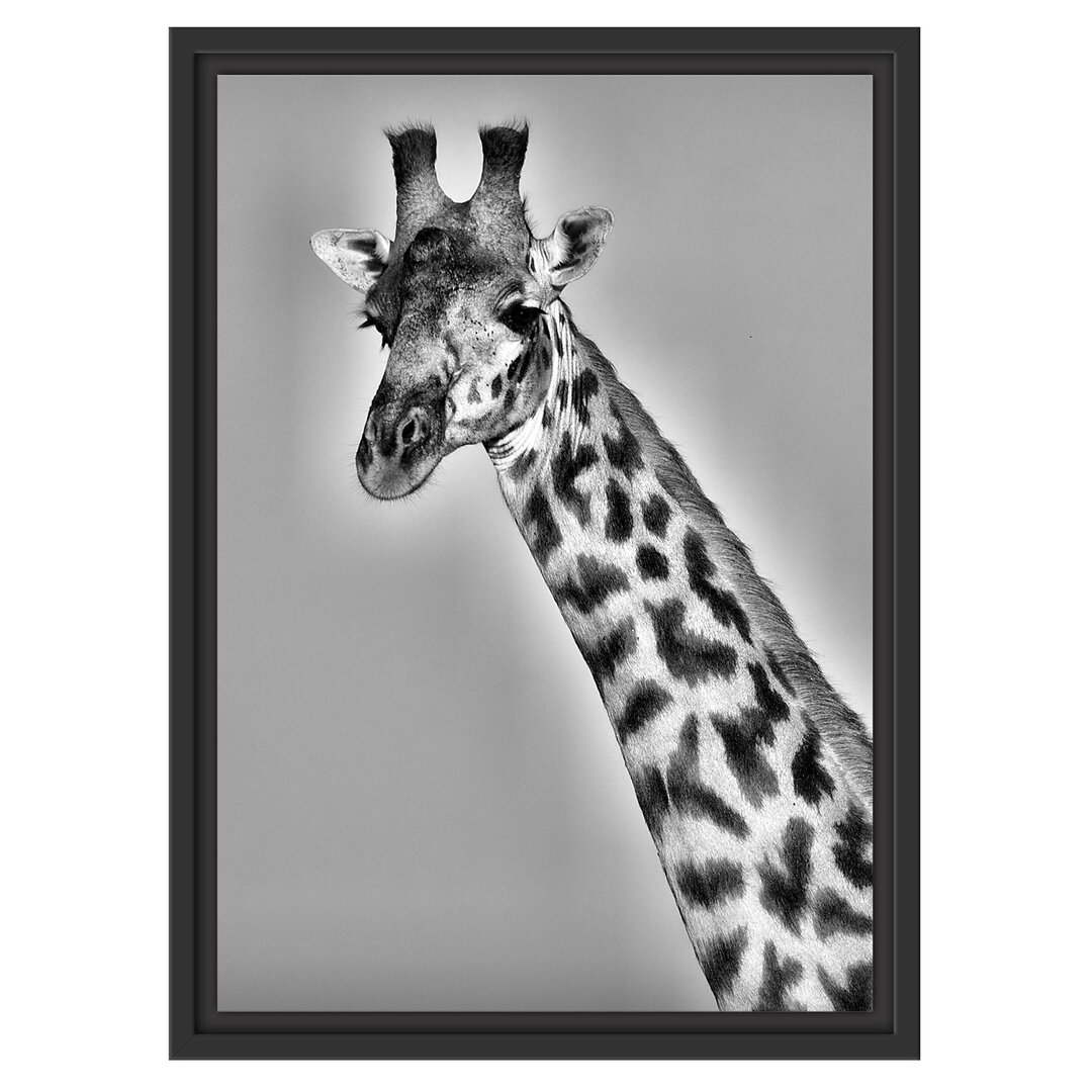 Gerahmtes Wandbild majestätische Giraffe