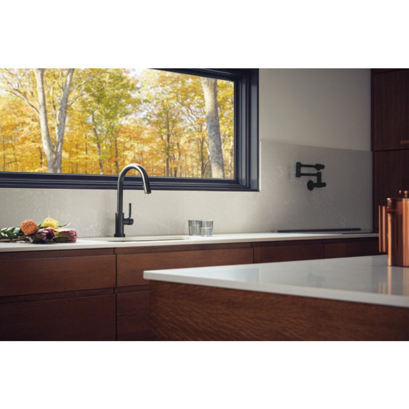 Euro Linear Wall Mount Pot Filler, Matte Black